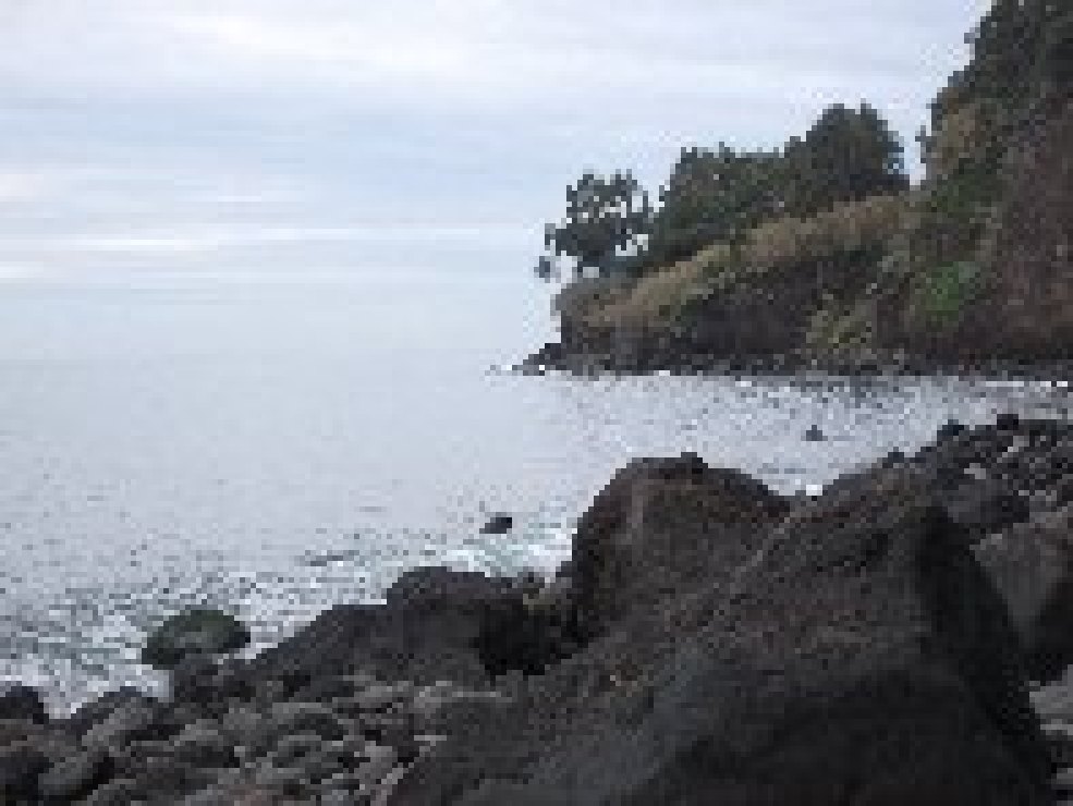 aiola-20101226 013